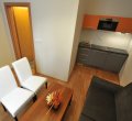 Apartments Brno - living room, kitchen